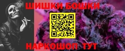 крисы Лесосибирск