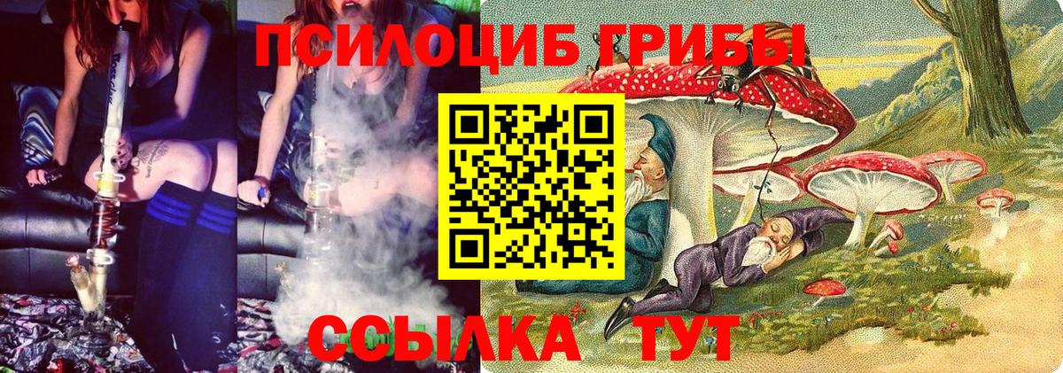 Удомля  Галлюциногенные грибы прущие грибы  Вход с VPN 